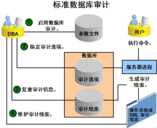 数据库审计,功能