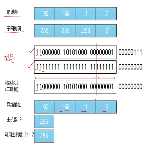 IP 子网划分,子网划分步骤详解,子网掩码计算方法,子网数量与主机数量计算,子网划分教程1