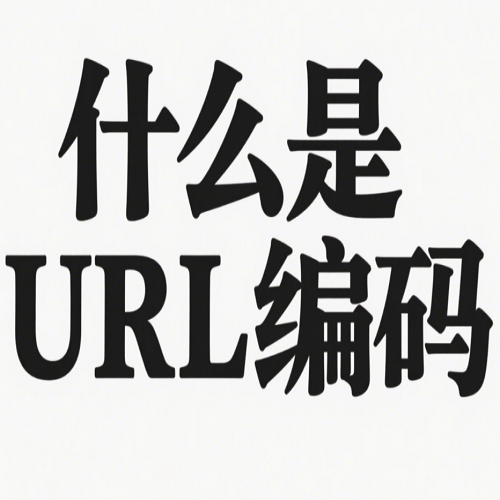 什么是URL编码