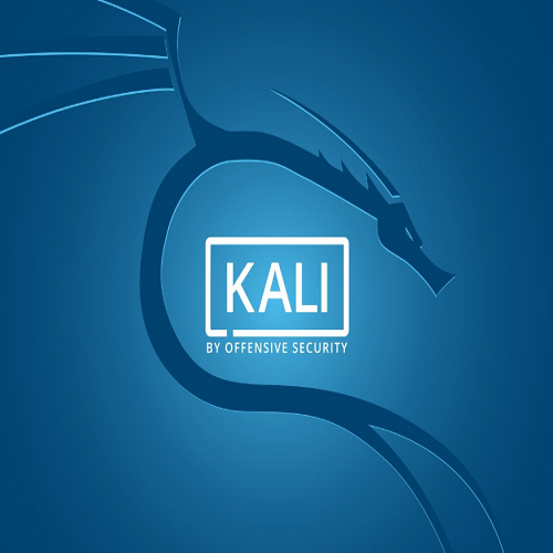 kali常见攻击手段