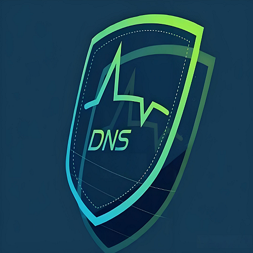 什么是DNS服务器？
