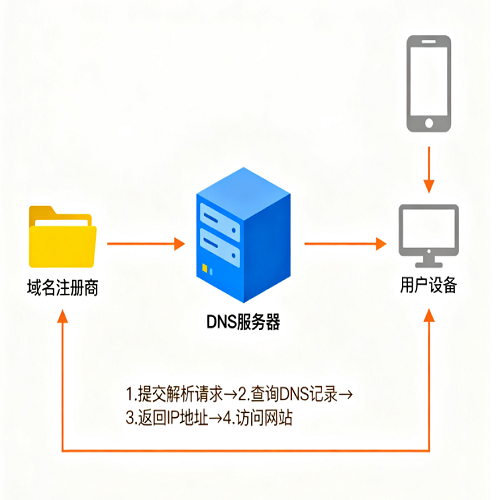 域名
