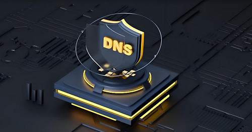 DNS服务器
