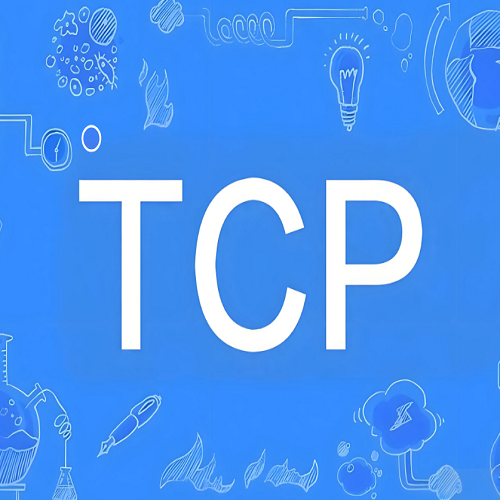 什么是 TCP 协议?