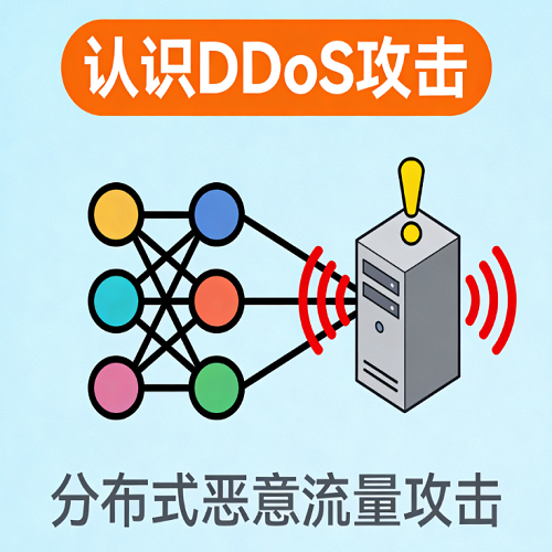 DDoS攻击,攻击类型,网站安全,常见DDoS攻击类型,网站瘫痪原因,DDoS攻击解析,网站安全防护技巧