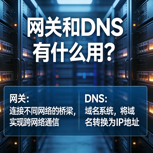 网关和DNS有什么用？